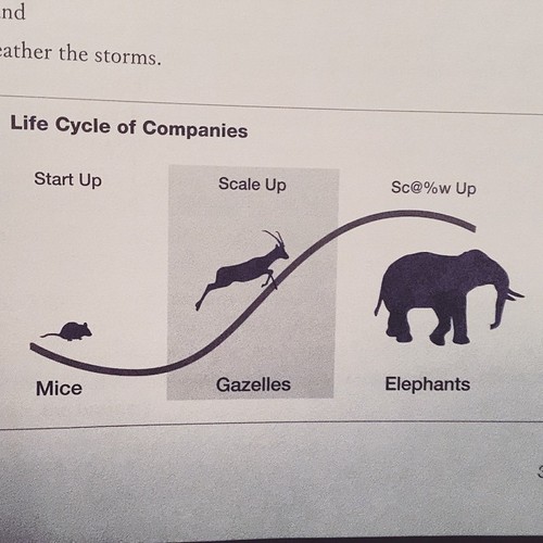 Página web Startup